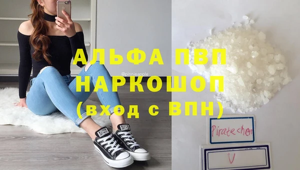 стаф Богданович