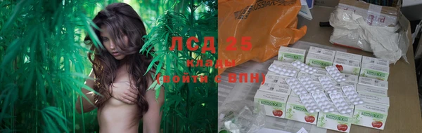 jwh Богородицк