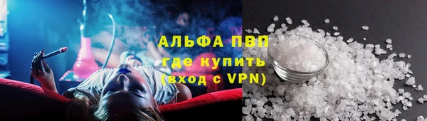 стаф Богданович