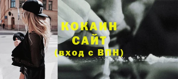 стаф Богданович