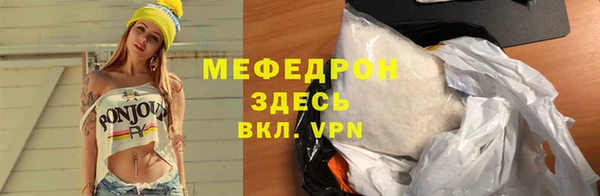 стаф Богданович