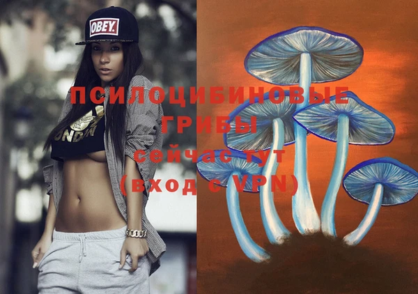 стаф Богданович