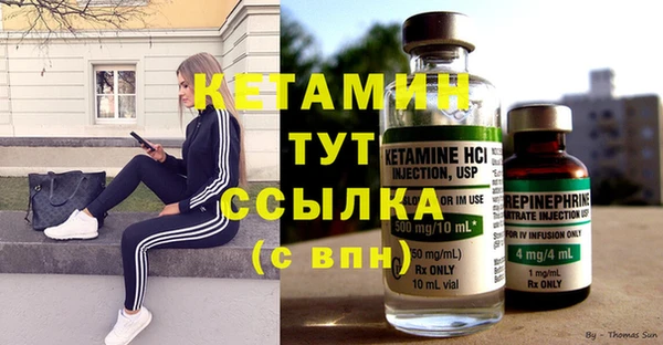 стаф Богданович