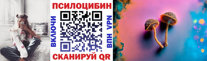 где купить наркотик  Кириллов  Псилоцибиновые грибы ЛСД 